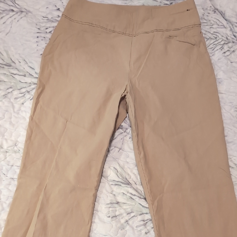 New York & Company Tan Straight Leg Pants